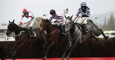 cheltenham betting tips